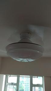 c0881bb4-0cbf-4772-921a-4d22ee04c645.jpg